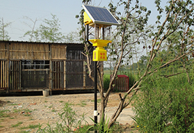 家禽養殖場使用太陽(yang)能殺蟲燈圖片