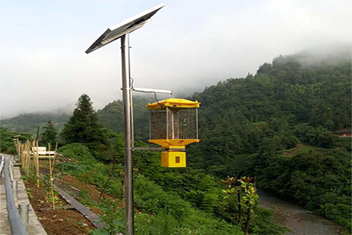 不銹鋼高燈桿(gan)太陽能殺蟲燈高3米
