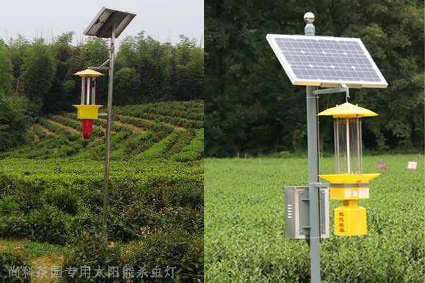 遂川茶园太阳能杀虫灯图片案例