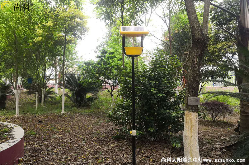 廣西南寧殺蟲燈用于某單(dan)位園林公園效果圖片