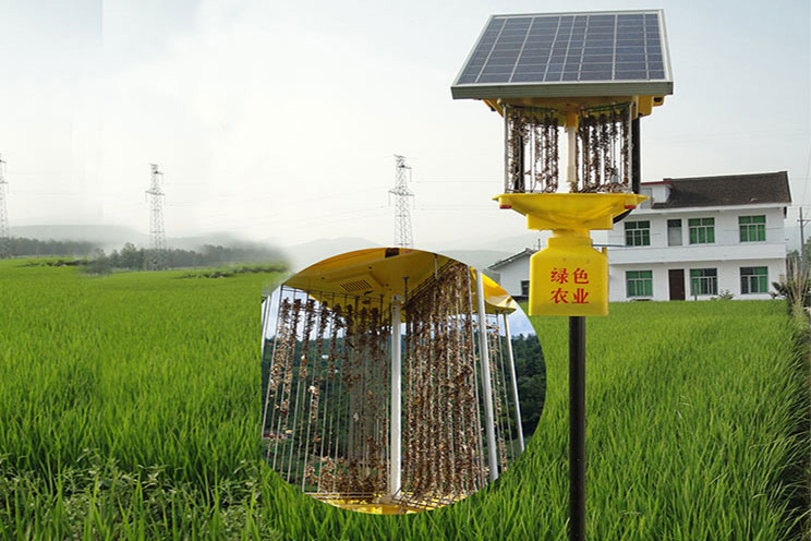 不带雨控功能的太阳能杀虫灯