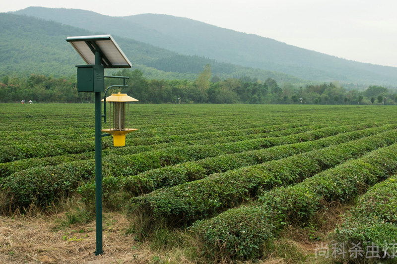 高杆电击式太阳能杀虫灯茶园用效果好