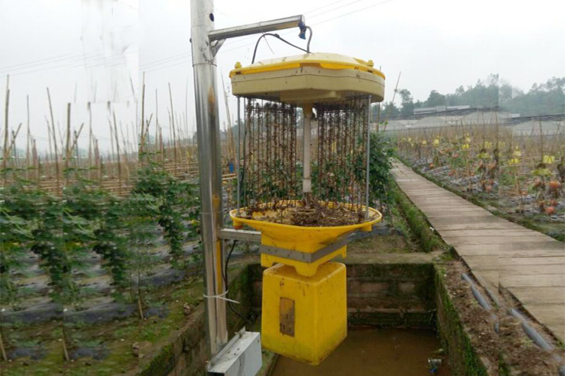 太阳能杀虫灯在大棚菜地一个管30亩地