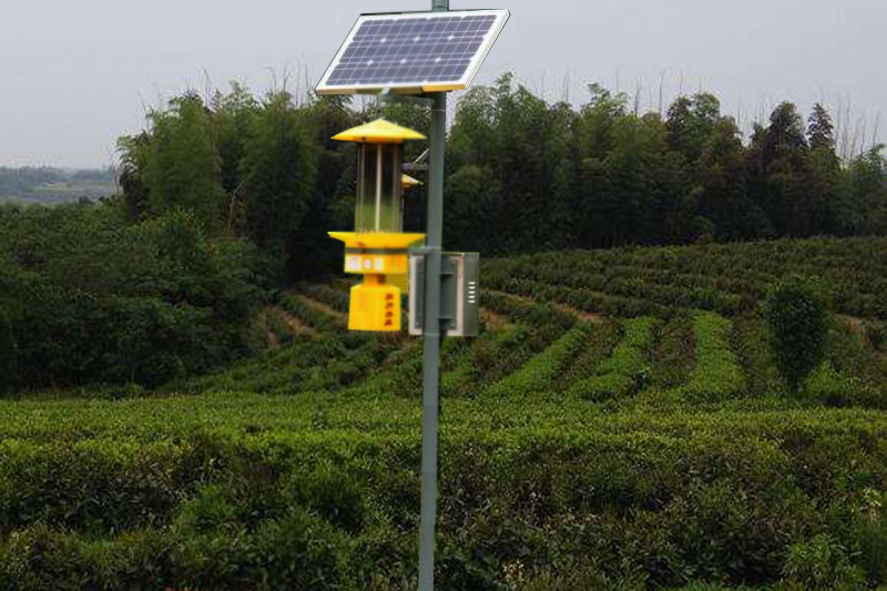 电击式太阳能茶园杀虫灯高度3米