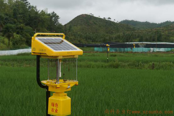 太阳能杀虫灯在江西赣州虔农虎蛙稻种植基地效果