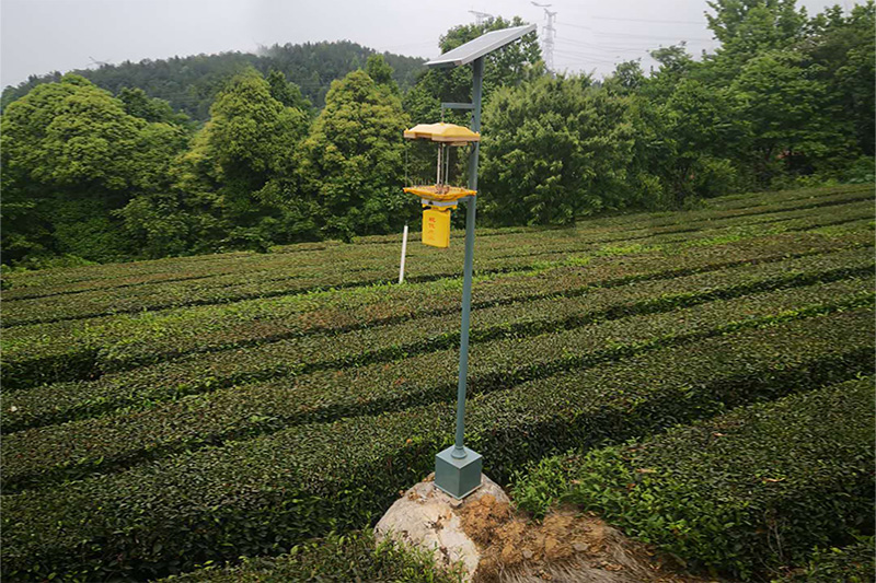 为什么太阳能杀虫灯用的少?四个方面原因