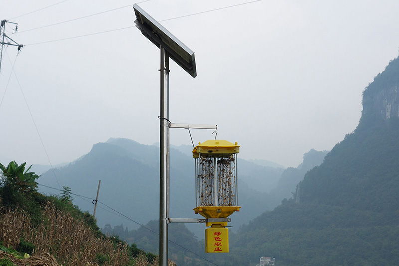 湖北太阳能杀虫灯价格多少钱