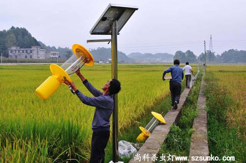 自动清虫太阳能杀虫灯位置布局标准及保养建议