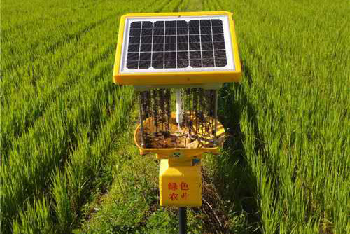 太阳能杀虫灯在黑龙江延寿县水稻种植基地披甲上阵
