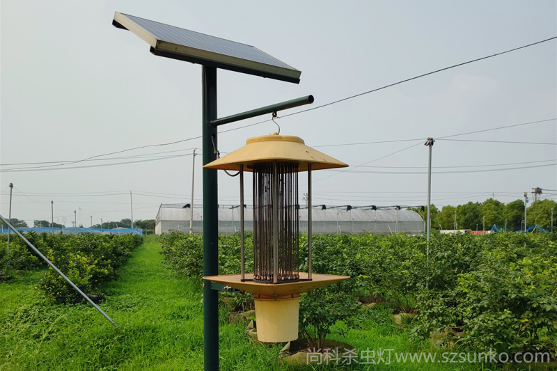 大棚太陽能殺蟲(chong)燈拿动，建設綠色農業示範區