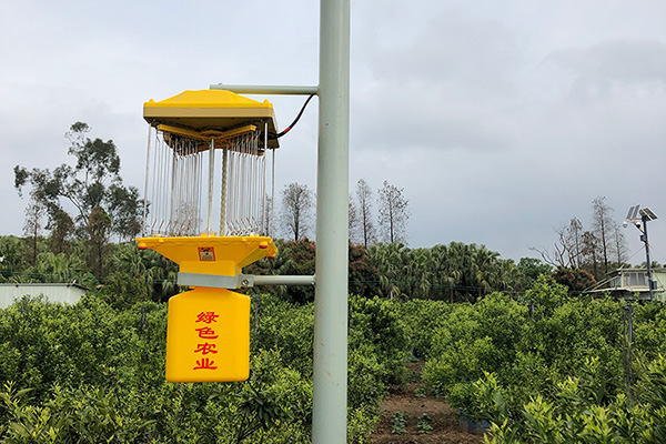 太阳能监控太阳能杀虫灯让茶园更安全