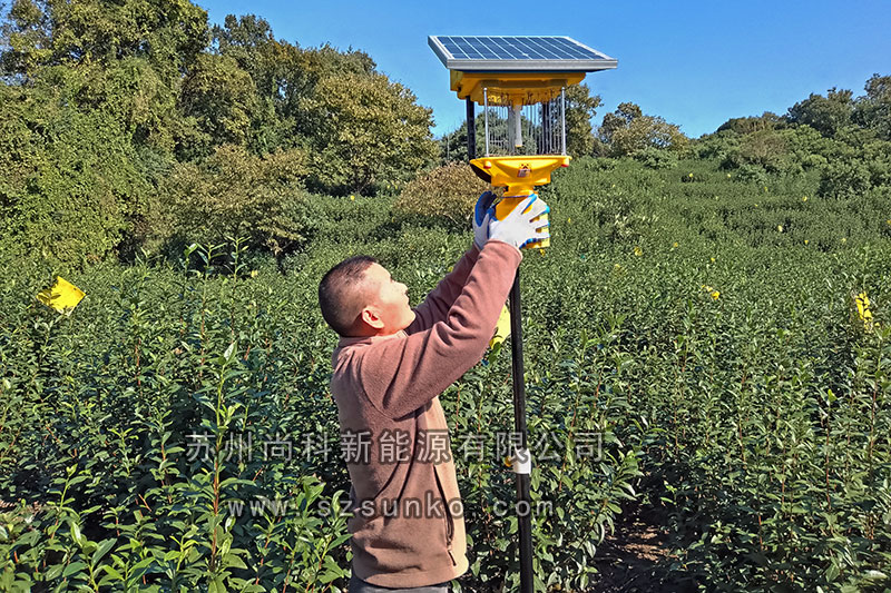 苏州碧螺春茶园太阳能杀虫灯安装纪实