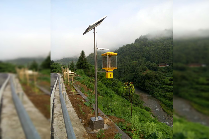 湖北恩施鹤峰生态农业使用太阳能杀虫灯实拍图片
