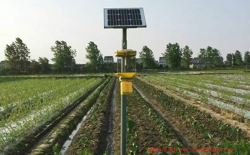 蔬菜种植用频振式太阳能杀虫灯