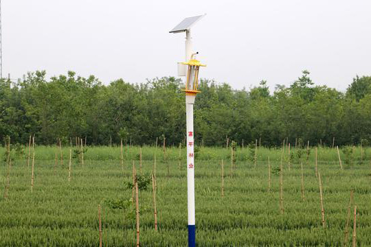 陕西柿园TFX50果园太阳能杀虫灯效果图：灯杆高度3米