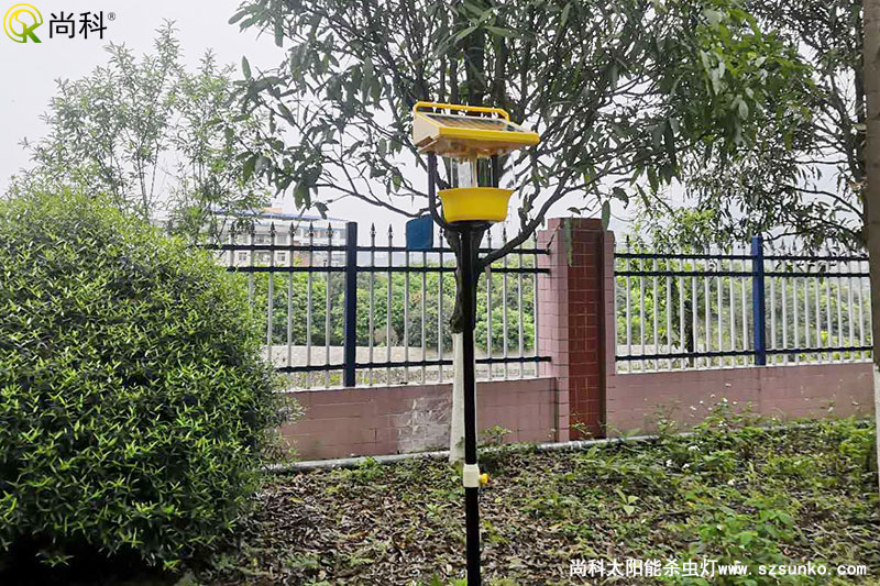 广西南宁杀虫灯用于某单位园林公园效果图片