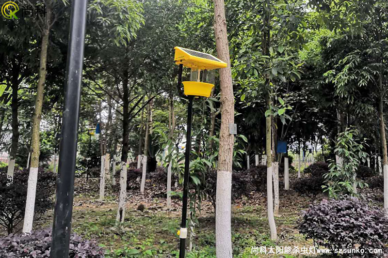 广西南宁杀虫灯用于某单位园林公园效果图片