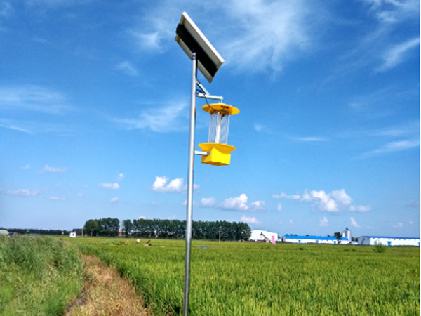 农用太阳能杀虫灯水稻田挂灯高度展示