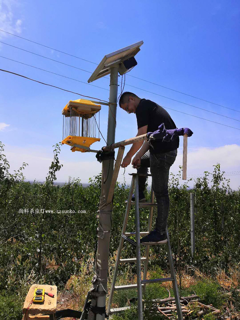 河南省果园太阳能杀虫灯安装现场效果图