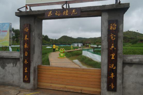 江西赣州虔农虎蛙稻有机种植基地