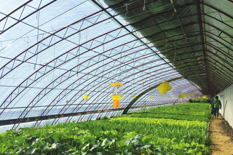 大棚交流电杀虫灯应用效果 大棚交流电杀虫灯应用效果