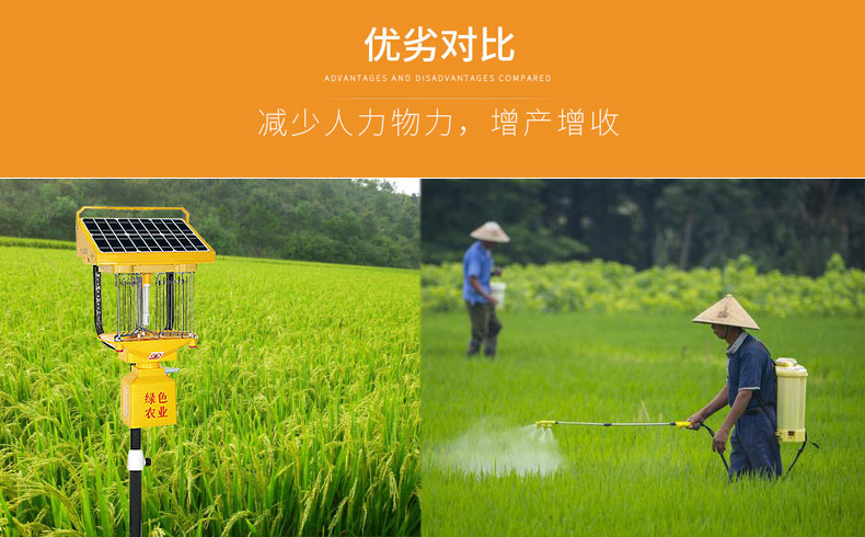 太阳能杀虫灯助力水稻田害虫防治