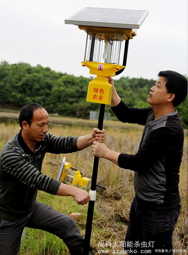 一体式太阳能杀虫灯安装现场图片