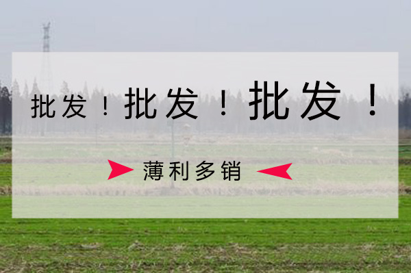 太阳能杀虫灯批发价格要比零售价格低