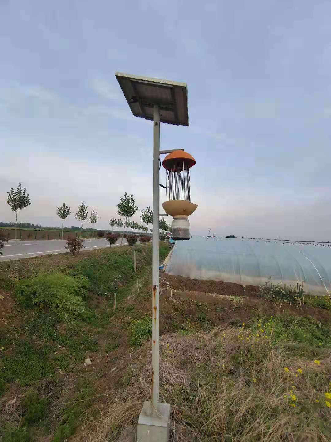 山东田间杀虫灯图片，生锈的太阳能杀虫灯