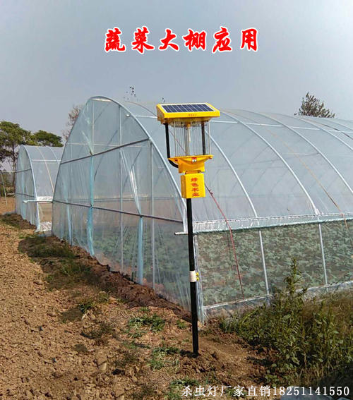 山东太阳能农田杀虫灯实拍，田间杀虫灯图片