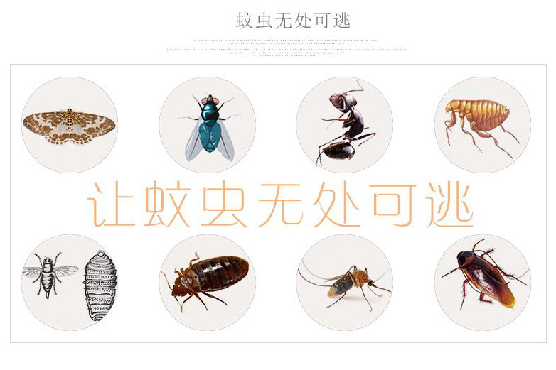 家居环境常见的害虫如蚊子苍蝇