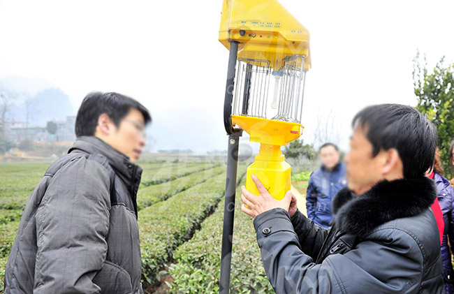 太阳能杀虫灯灯具安装攻略，注意事项大全，一定要看