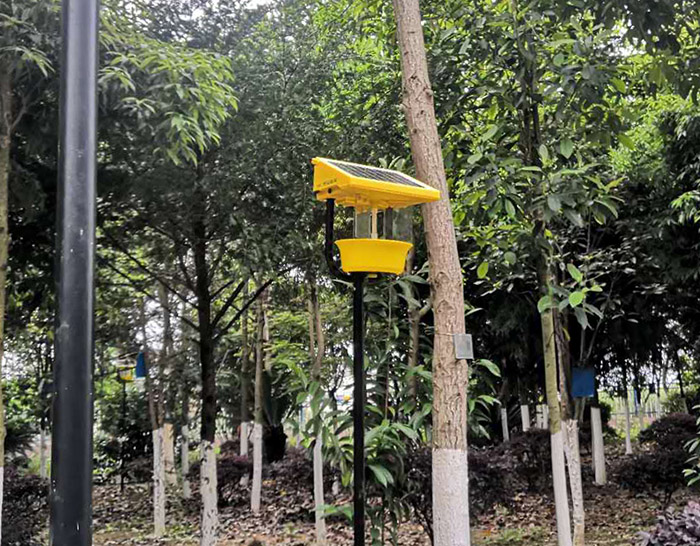 柑桔太阳能杀虫灯能有效杀死多大面积