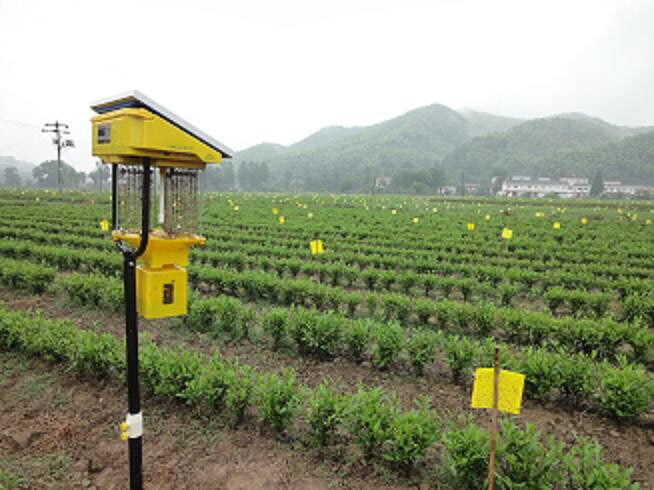 太阳能杀虫灯应用范围是什么