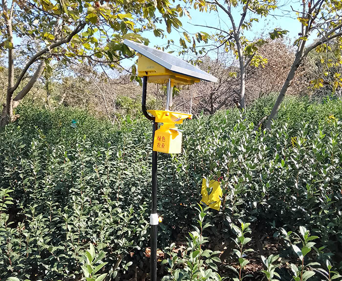 太阳能自动杀虫灯范围是多少