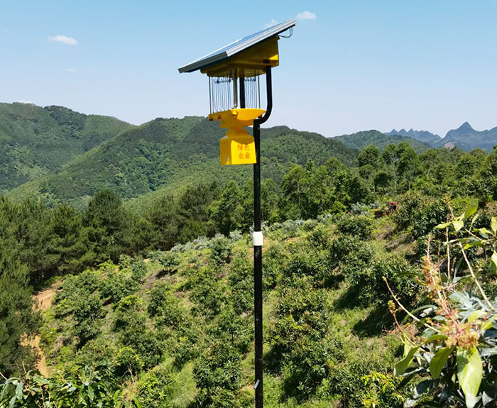 风吸式太阳能杀虫灯工作原理，总共5个步骤