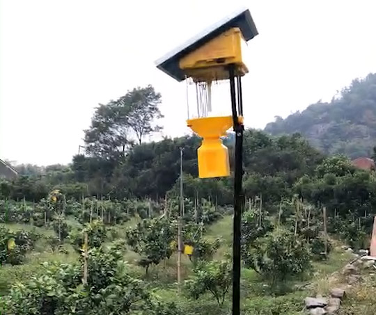 果园杀虫灯每亩几个，效果怎么样