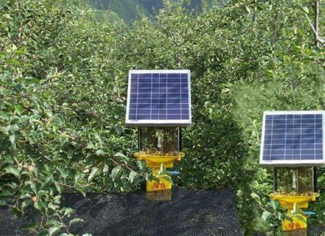 太阳能杀虫灯正确安装方法&使用杀虫灯的注意事项