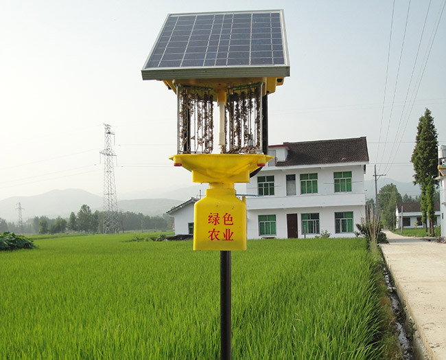 风吸式太阳能杀虫灯实施方案设计