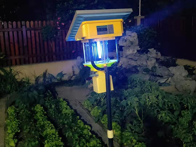 杀虫灯光源波段与对应的害虫