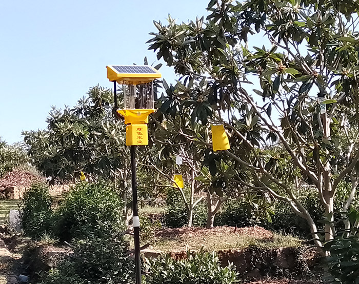 杀虫灯对果园有效果吗