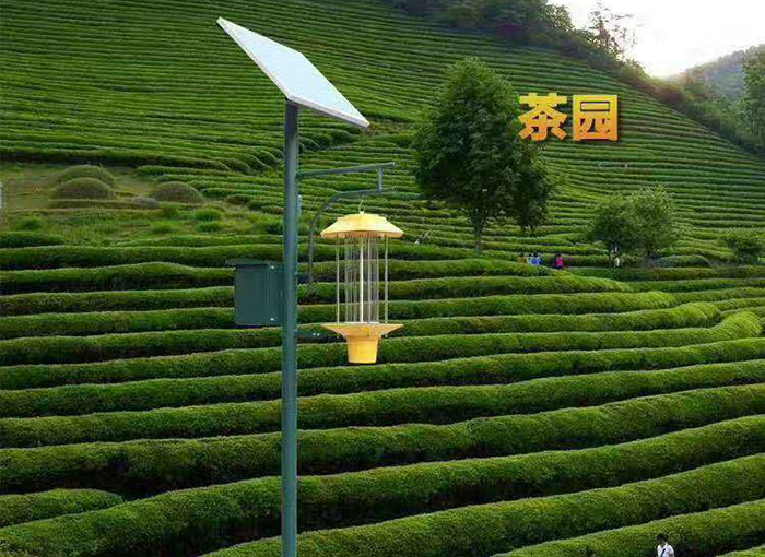 杀虫灯在农业中的重要作用及其优势